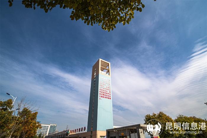 1613181_700x700 1613181_700x700