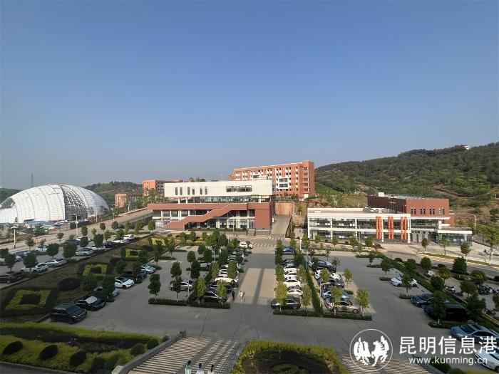 1613184_700x700 1613184_700x700