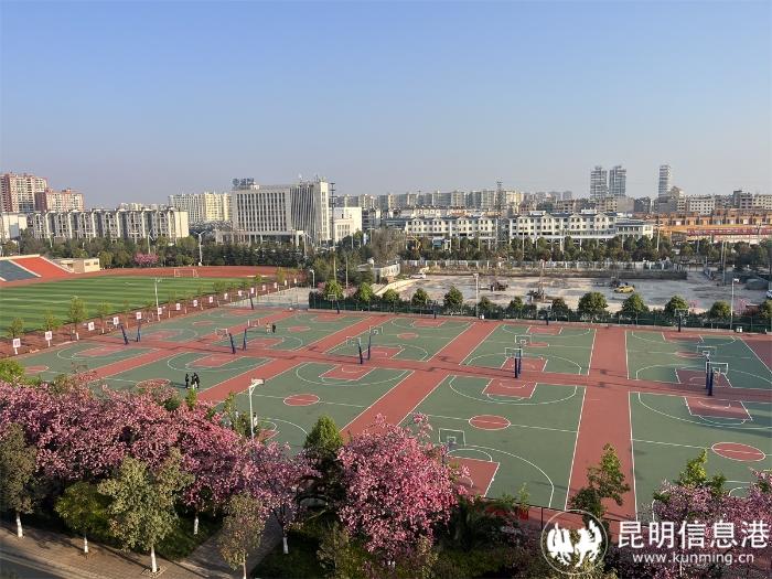 1613185_700x700 1613185_700x700