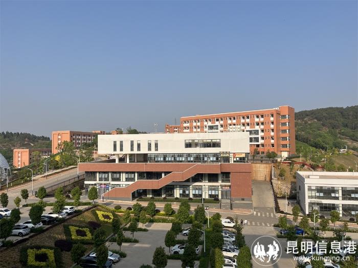 1613186_700x700 1613186_700x700