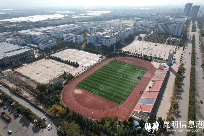 1613187_700x700 1613187_700x700