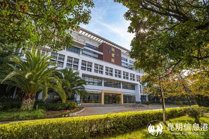 1613188_700x700 1613188_700x700