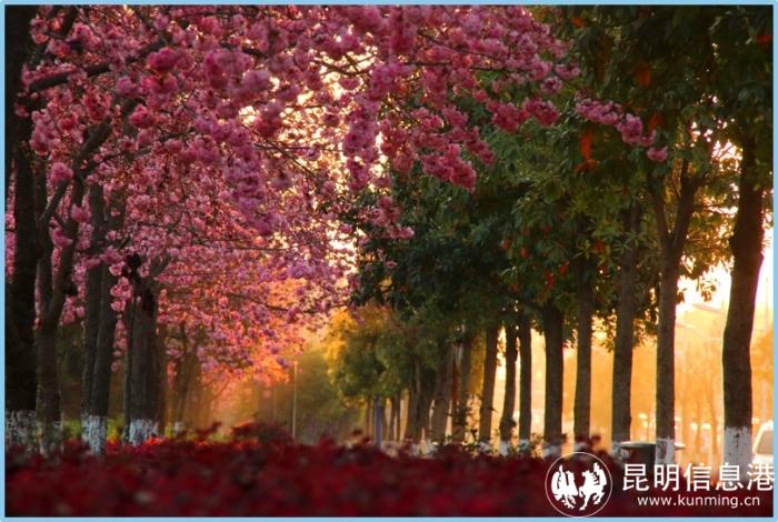 1613189_700x700 1613189_700x700