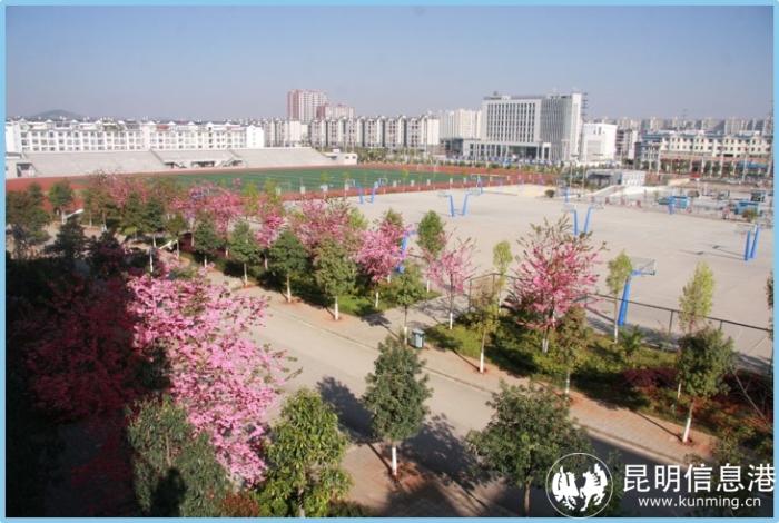 1613190_700x700 1613190_700x700