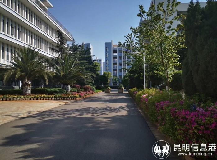 1613191_700x700 1613191_700x700