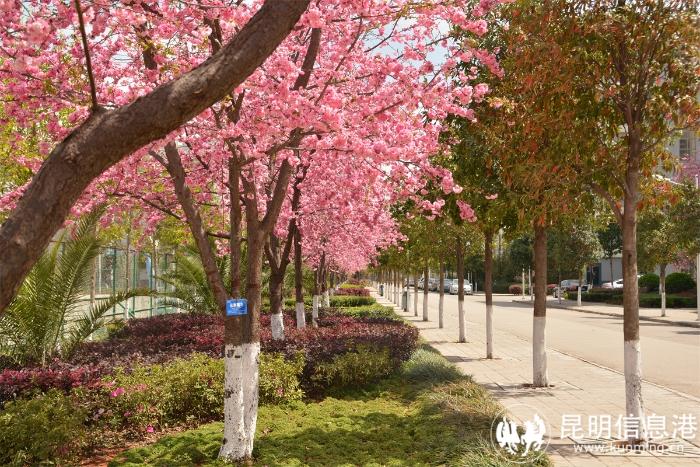 1613192_700x700 1613192_700x700