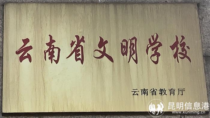 1616195_700x700 1616195_700x700