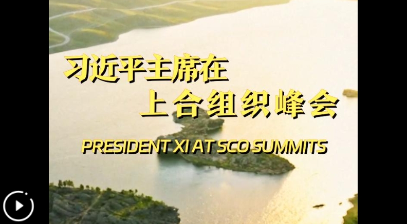 微信截图_20240702145930