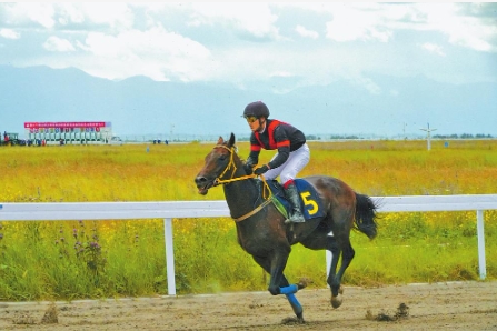 微信截图_20240710075304 微信截图_20240710075304