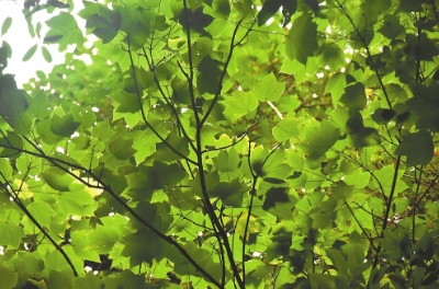 微信截图_20240712081124