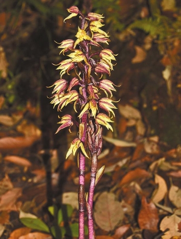 微信截图_20240712081136