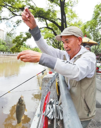 微信截图_20240714090403