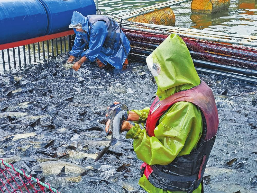 微信图片_20240722113235