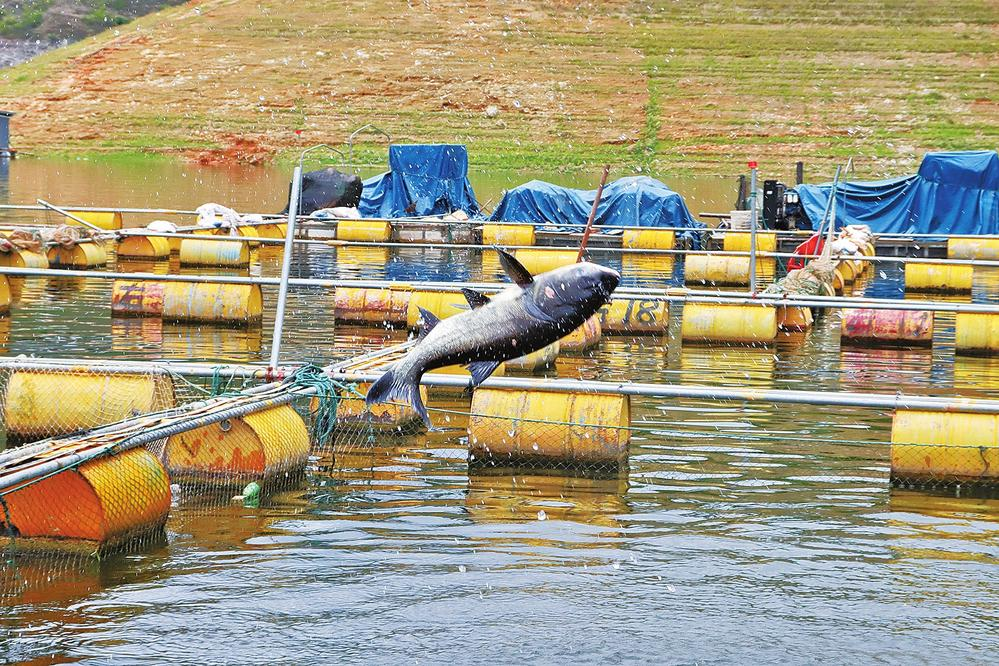 微信图片_20240722113239