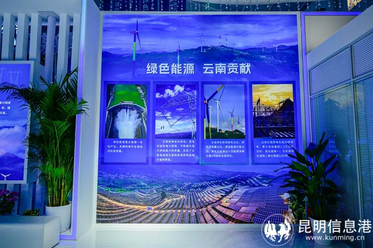 _DSC5814-opq3120021211