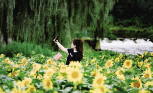 3521723491646889 3521723491646889