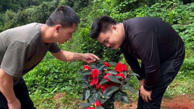 云南宁洱发现罕见红色眼斑螳螂