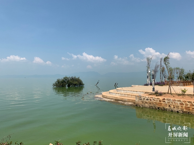 斗南湿地治理 春城晚报-开屏新闻记者 闵楠 摄影报道