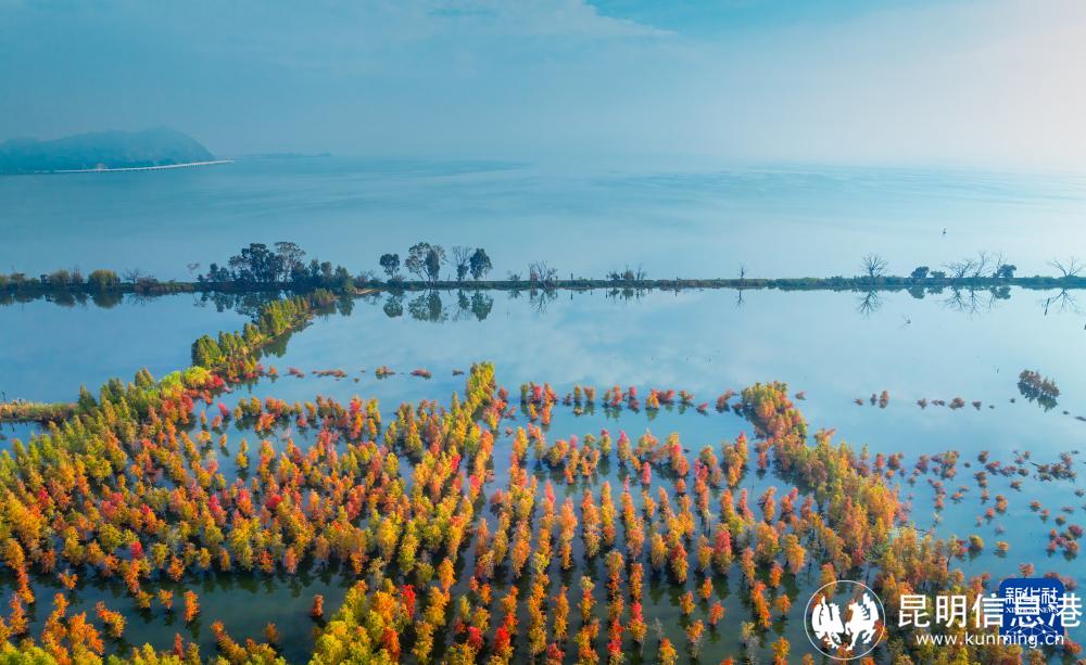 202410260712d5c578184fb2b058ce7d2d3effac_20241026aa6e1e35fd284f76ba9326f61de963b2