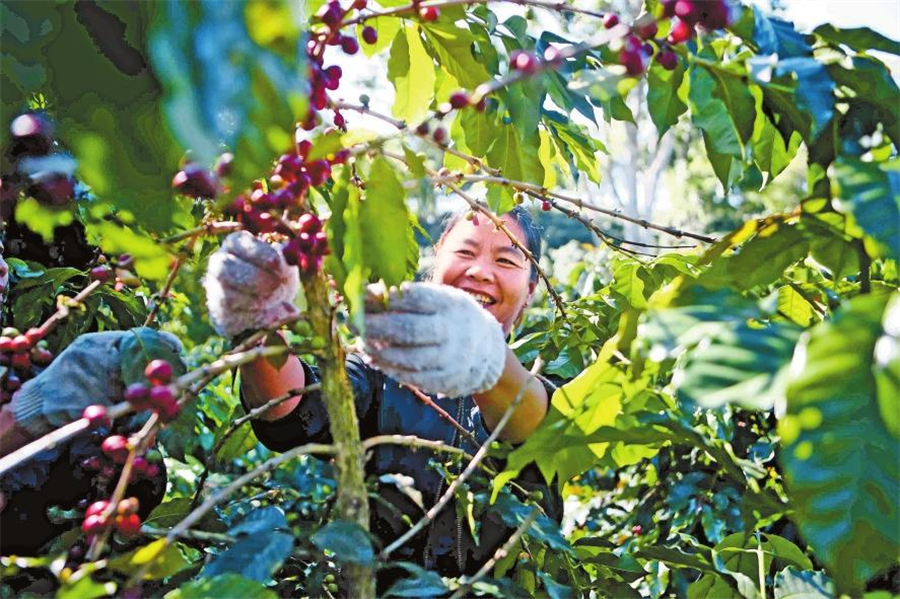 微信图片_20241203081533