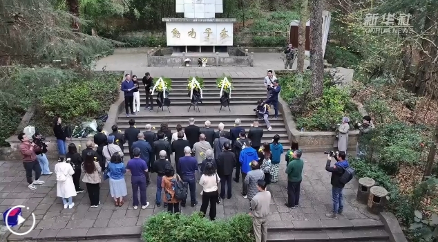 微信截图_20250305155438