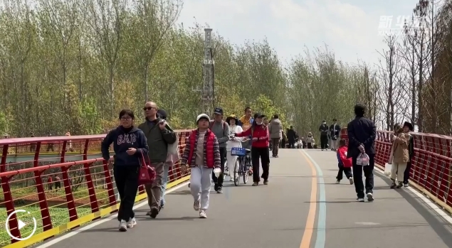 微信截图_20250305155901