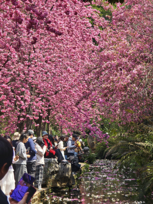 13421742136875011 13421742136875011