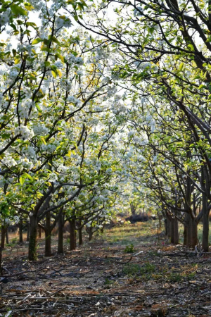 16421742136875026 16421742136875026