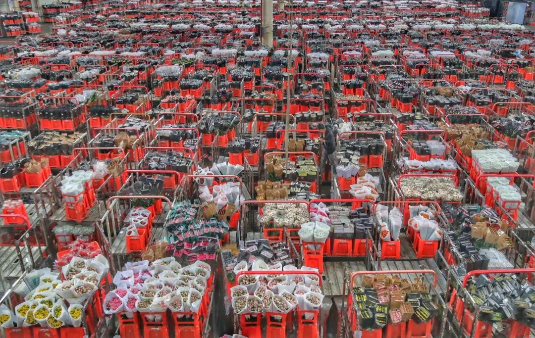 斗南照片备选 (2).jpg