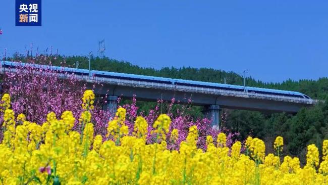 1.26亿人次去哪儿了?清明小长假消费“三件套”