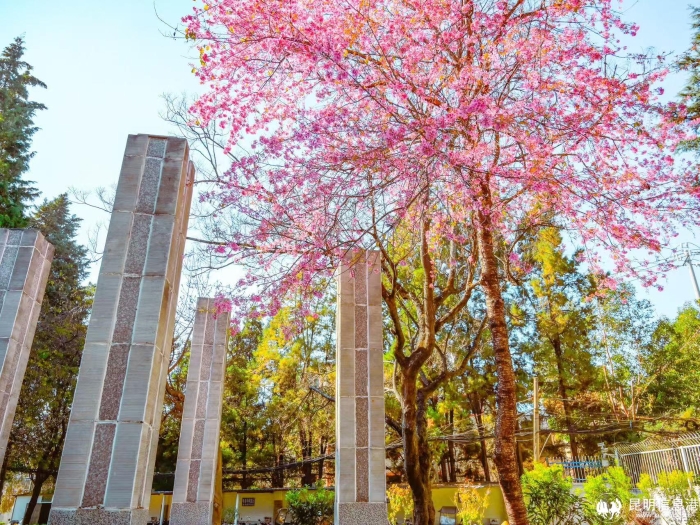 b7ba3c7fe5fa77d97afd1ce232da720 b7ba3c7fe5fa77d97afd1ce232da720