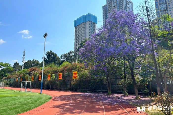 微信图片_20240422113607 微信图片_20240422113607