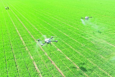 因地制宜发展农业新质生产力