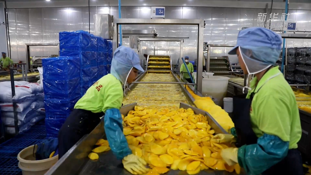 20250417786c0096305c469da34f45de87e69b1d_63de66418af64caa87ee7f7ee2bdb28d