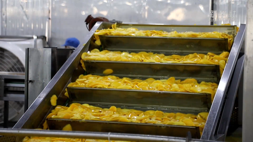 20250417786c0096305c469da34f45de87e69b1d_451058d274e64bd6bc0b1c3afb4a0d01