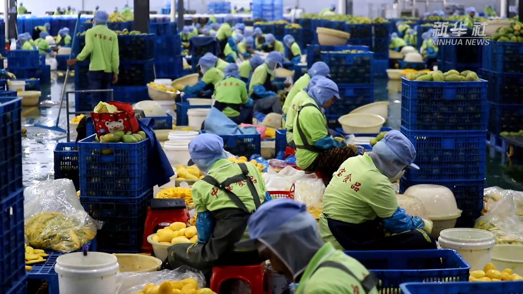 20250417786c0096305c469da34f45de87e69b1d_654730e2291b4628bc2bf218b16da6f1