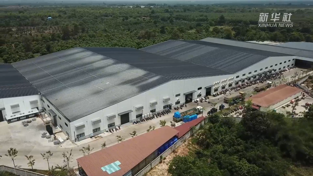 20250417786c0096305c469da34f45de87e69b1d_15880975d8b64ec29df855541e9b977d