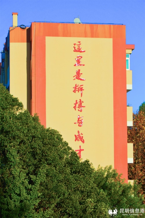 拼搏与成才的乐园