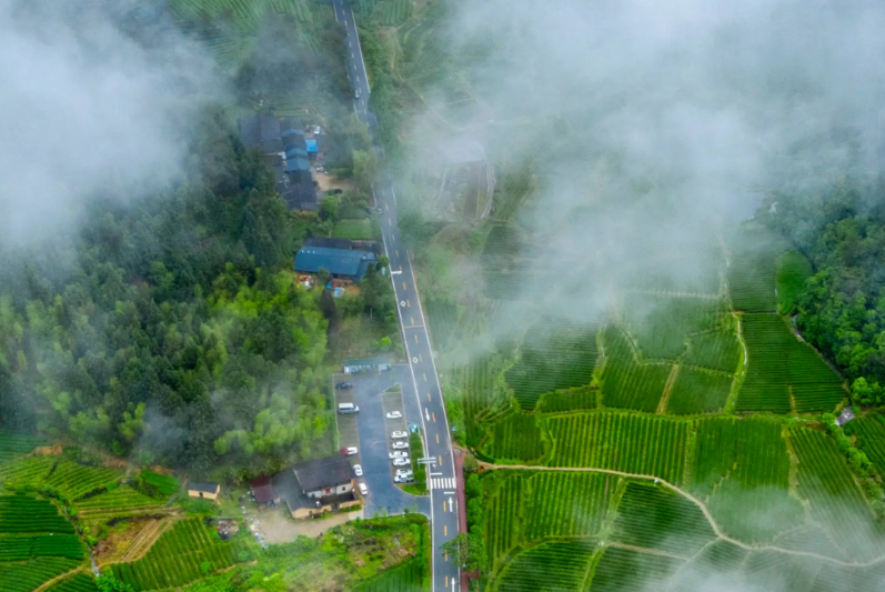 国家公园1号风景道寻茶路线 图源：大武夷文旅.png