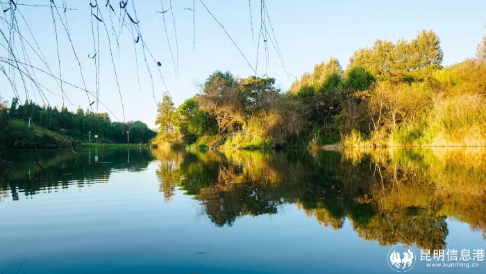 1859d9e5fe404551aa24163f1edeeb9c