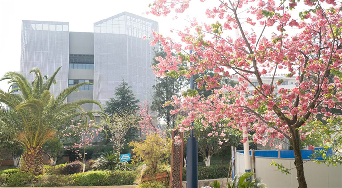 e3afae1908f1ed052eff3e59ae5b9aa