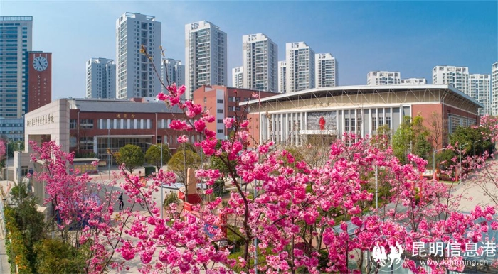 7.校园一瞰1_副本2