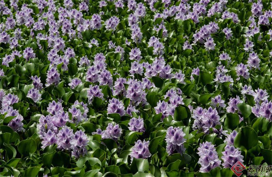 00307190389_1af4c915