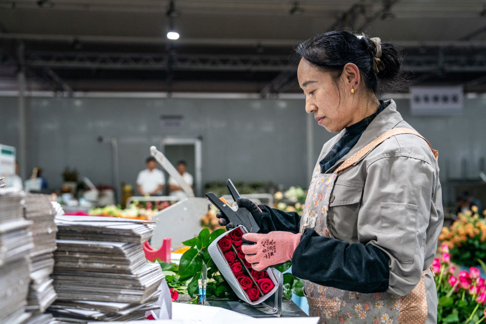 习近平总书记关切事|幸福生活像花儿一样——把地方特色产业做优做强之二 习近平总书记关切事|幸福生活像花儿一样——把地方特色产业做优做强之二