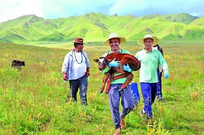 这个夏天,去西部就业成为风尚 这个夏天,去西部就业成为风尚