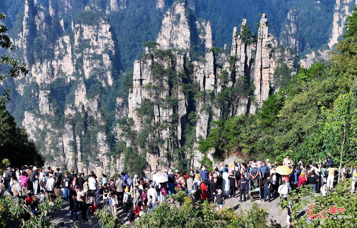 “双节”临近秋游热