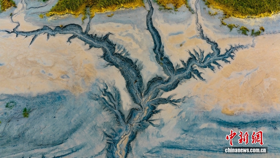 1d6e8f1ae6d64237b451cd11fccd541a