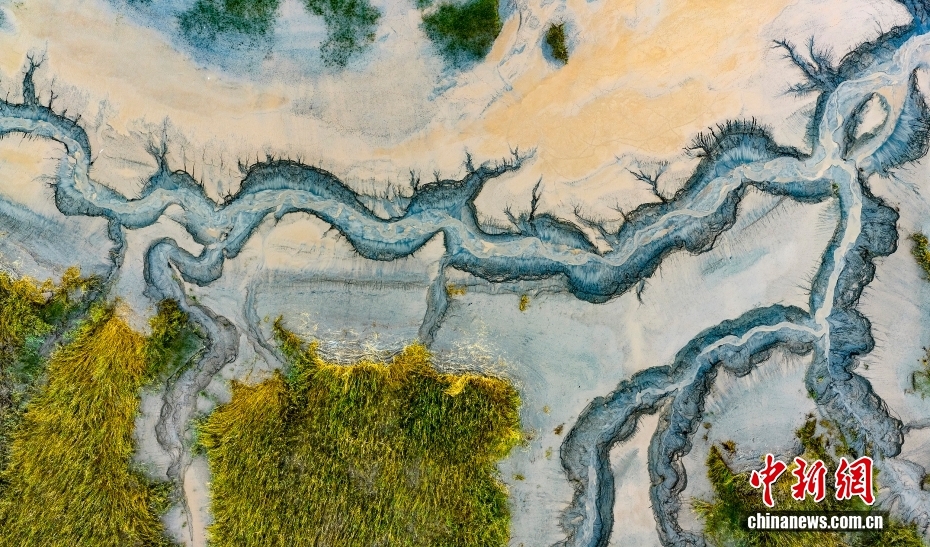 fbe5ad422e8d4da4b5c76f2af190b442