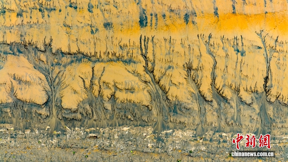 41a200bbb03c4958835a4dd119b57ec1