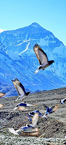 生物圈保护区——打造人与自然和谐共生样板